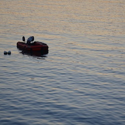 2016-12 France/Dinard/DSC_0208.JPG